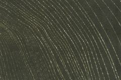 06-Linogravures
