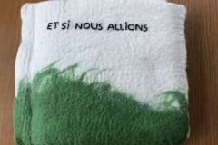 15-et_si_nous_allions